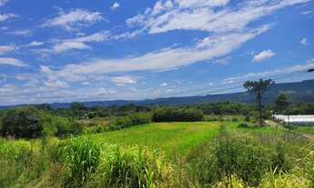 Imagem 3: Área de terra com 51.237,24 m², Linha Araripe em Nova Petrópolis RS