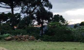 Imagem 4: Terreno à venda no Pinhal Alto em Nova Petrópolis RS