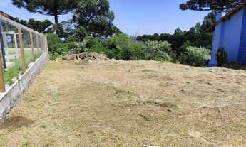 Imagem 2: Terreno à venda no Pinhal Alto em Nova Petrópolis RS