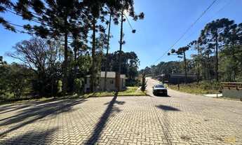 Imagem 4: Terreno com 384,45 m² no loteamento Bosque das Araucárias. Bairro Linha Imperial, Nova Pe