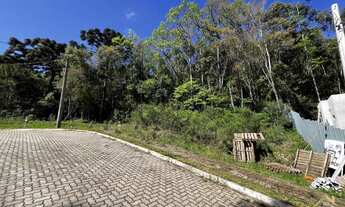 Imagem 3: Terreno com 384,45 m² no loteamento Bosque das Araucárias. Bairro Linha Imperial, Nova Pe