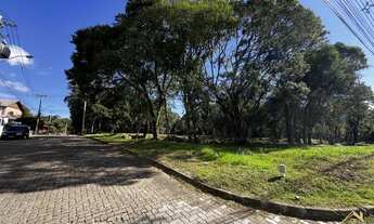Imagem 2: Terrenos no bairro Pousada da Neve em Nova Petrópolis, RS