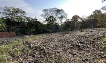 Imagem 6: Belo terreno de esquina com 360 m² em Picada Café na Serra Gaúcha