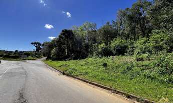 Imagem 3: Amplo Terreno no bairro Linha Imperal em Nova Petrópolis RS