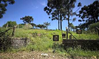 Imagem 6: Terreno à venda com 1.025,00 M². Bairro Germânia, Nova Petrópolis RS!