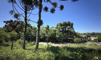 Imagem 7: Terreno à venda com 1.025,00 M². Bairro Germânia, Nova Petrópolis RS!