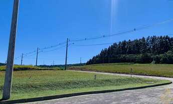 Imagem: Terreno à venda no Pinhal Alto. Nova Petrópolis
