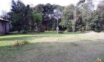 Imagem 4: Excelente Área de Terra. Bairro Linha Araripe, Nova Petrópolis RS!