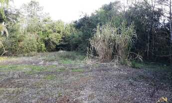 Imagem 6: Excelente Área de Terra. Bairro Linha Araripe, Nova Petrópolis RS!