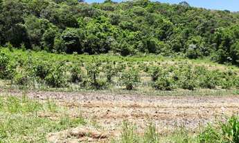 Imagem: Excelente área de terra no Bairro Germânia