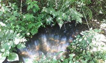 Imagem 3: Excelente área de terra no Bairro Germânia