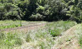 Imagem 4: Excelente área de terra no Bairro Germânia