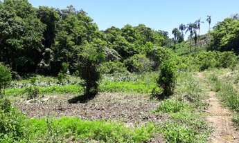 Imagem 5: Excelente área de terra no Bairro Germânia