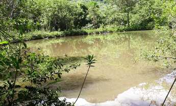 Imagem: Linda área de terra na Linha Sebastiopol