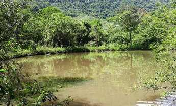 Imagem 2: Linda área de terra na Linha Sebastiopol