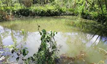 Imagem 3: Linda área de terra na Linha Sebastiopol