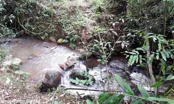 Imagem 4: Excelente Área de Terra com 65.500 m². Bairro Feliz RS!