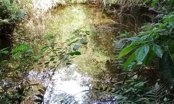 Imagem 6: Excelente Área de Terra com 65.500 m². Bairro Feliz RS!