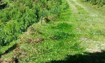 Imagem 2: Sítio com 220 mil metros quadrados. Pendancino, Nova Petrópolis RS!