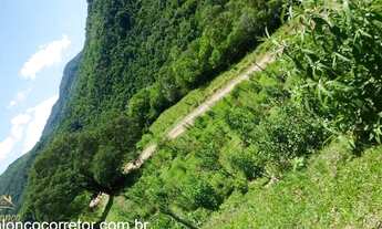 Imagem 3: Sítio com 220 mil metros quadrados. Pendancino, Nova Petrópolis RS!