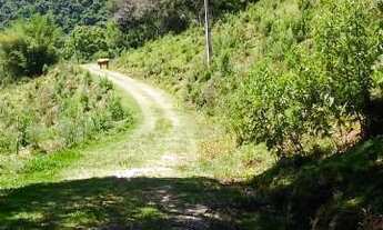 Imagem 4: Sítio com 220 mil metros quadrados. Pendancino, Nova Petrópolis RS!