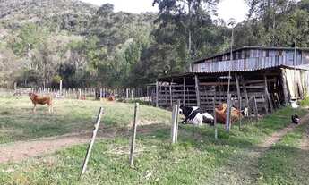 Imagem 4: Excelente Sítio na Linha Temerária com 14 hectares.