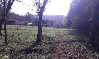 Imagem 6: Excelente Sítio na Linha Temerária com 14 hectares.