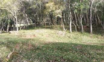 Imagem 7: Excelente Sítio na Linha Temerária com 14 hectares.