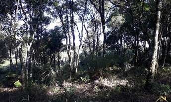 Imagem 6: Área de terras com vista deslumbrante para o vale e montanhas. Linha Imperial