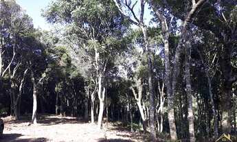Imagem 7: Área de terras com vista deslumbrante para o vale e montanhas. Linha Imperial