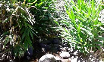 Imagem 4: Dois terrenos no Bairro Joaneta Picada Café RS