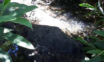 Imagem 5: Dois terrenos no Bairro Joaneta Picada Café RS