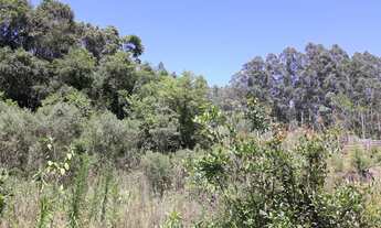 Imagem 6: Dois terrenos no Bairro Joaneta Picada Café RS