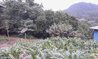 Imagem: Terreno em Picada Café bairro Floresta