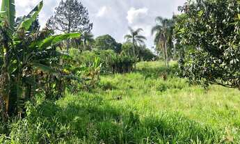 Imagem 3: OPORTUNIDADE Excelente área de terra com uma linda vista.Picada Café RS