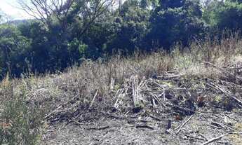 Imagem 3: Terrenos bairro São João, Picada Café RS