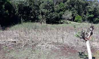 Imagem 6: Terrenos bairro São João, Picada Café RS