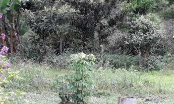 Imagem 3: Barbada, Lindo terreno no centro de Picada Café!