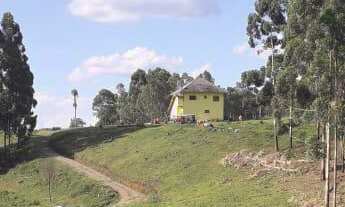 Imagem 4: Lindo Sitio na Linha São Jaco em Nova Petrópolis RS