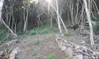 Imagem 6: Área de terras urbana com 5.200 m². Vila Olinda. Nova Petrópolis RS