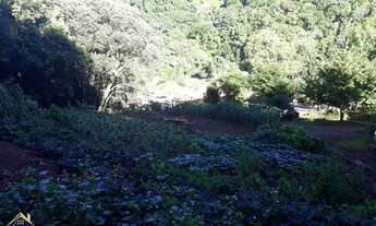 Imagem 7: Área de terras urbana com 5.200 m². Vila Olinda. Nova Petrópolis RS