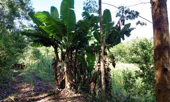 Imagem 6: Lindo Sitio a 4 km da RS235 em Nova Petrópolis RS