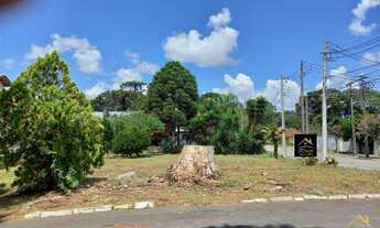 Imagem 4: Oportunidade terreno Bairro Logradouro Nova Petrópolis RS