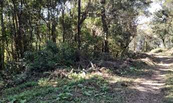 Imagem 6: Barbada! Área de terra, próximo ao morro malakov! Nova Petrópolis RS