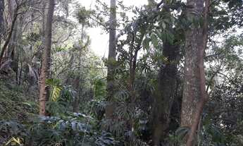 Imagem 2: Sítio com 3 hectares(30.000 m² ) Com Vista Panorâmica Deslumbrante