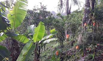 Imagem 4: Sítio com 3 hectares(30.000 m² ) Com Vista Panorâmica Deslumbrante