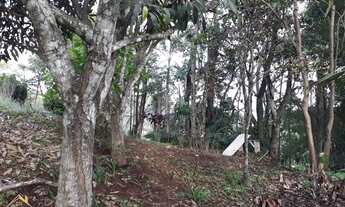 Imagem 6: Sítio com 3 hectares(30.000 m² ) Com Vista Panorâmica Deslumbrante