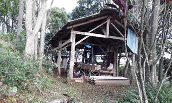 Imagem 7: Sítio com 3 hectares(30.000 m² ) Com Vista Panorâmica Deslumbrante