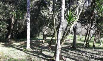 Imagem 3: Maravilhoso Sítio com duas áreas de terras no Bairro Kaffeck em Picada Café