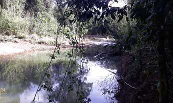 Imagem 4: Maravilhoso Sítio com duas áreas de terras no Bairro Kaffeck em Picada Café
